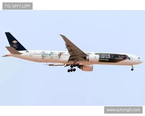 世界杯官方指定航空公司的世界杯涂装飞机